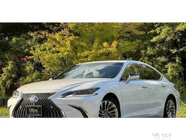 2019 Lexus ES