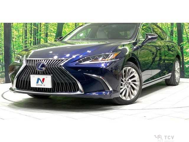 2019 Lexus ES