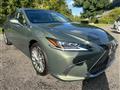 2019 Lexus ES
