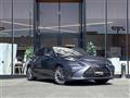 2019 Lexus ES