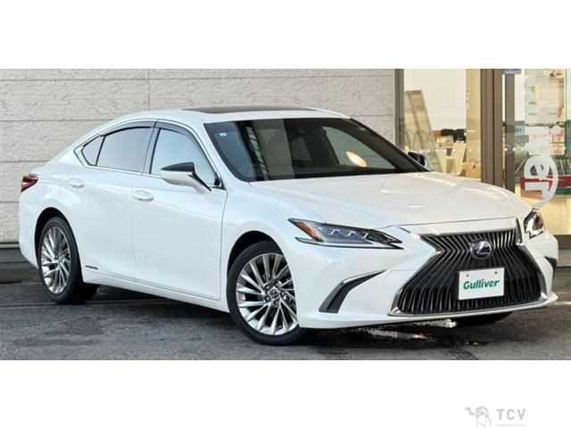 2019 Lexus ES