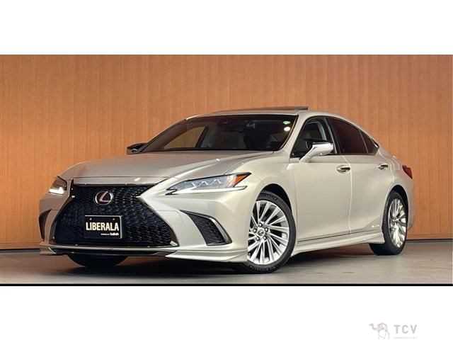 2019 Lexus ES