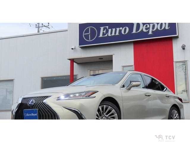 2019 Lexus ES