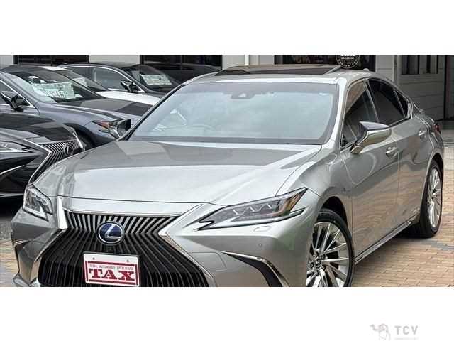 2019 Lexus ES