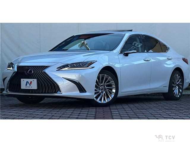 2019 Lexus ES