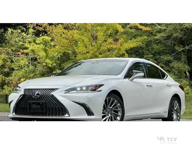 2019 Lexus ES