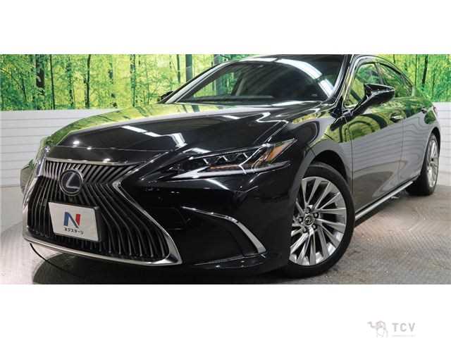 2019 Lexus ES