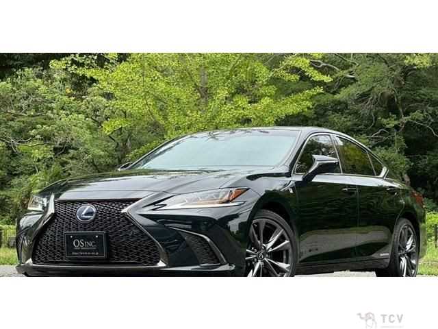 2019 Lexus ES