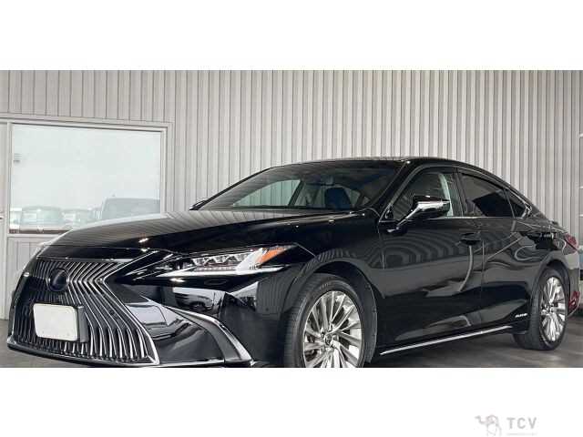 2019 Lexus ES
