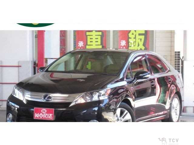 2010 Lexus HS