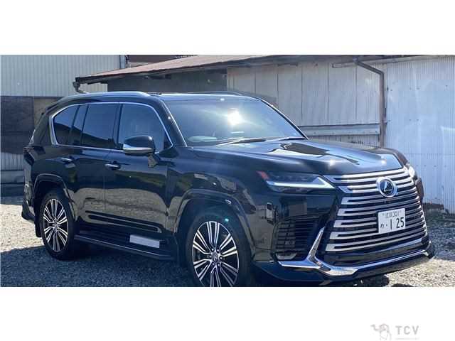 2025 Lexus LX