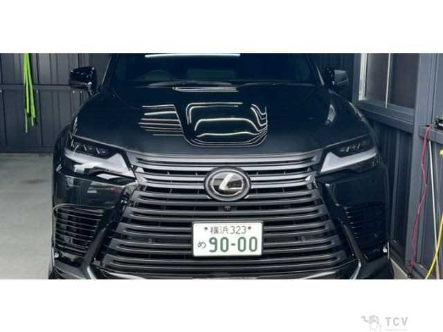 2023 Lexus LX