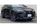 2025 Lexus NX