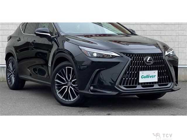2025 Lexus NX