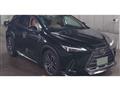 2025 Lexus NX