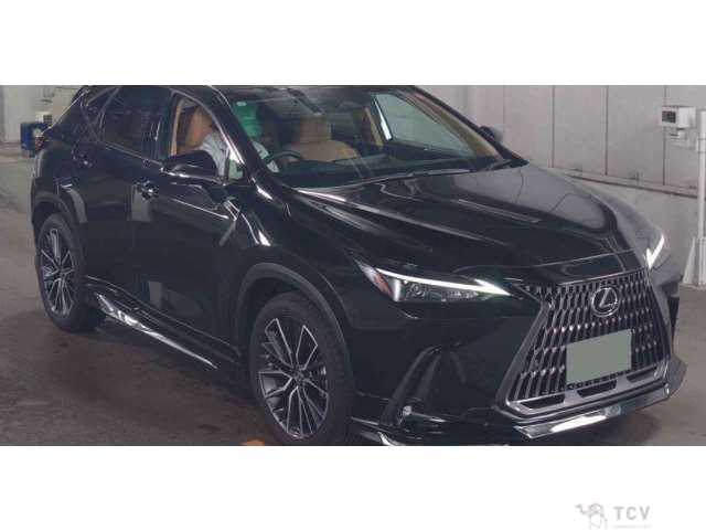 2025 Lexus NX