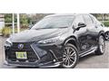 2025 Lexus NX