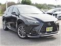 2025 Lexus NX
