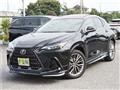 2025 Lexus NX