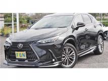 2025 Lexus NX