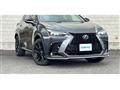 2025 Lexus NX