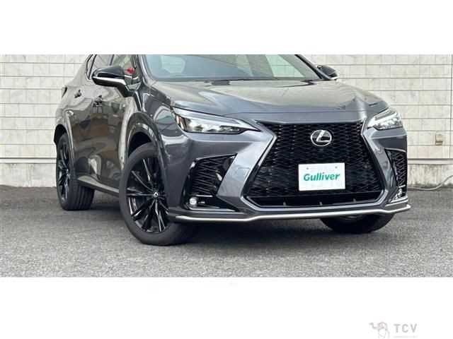2025 Lexus NX