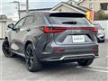 2025 Lexus NX