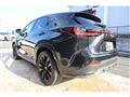 2025 Lexus NX