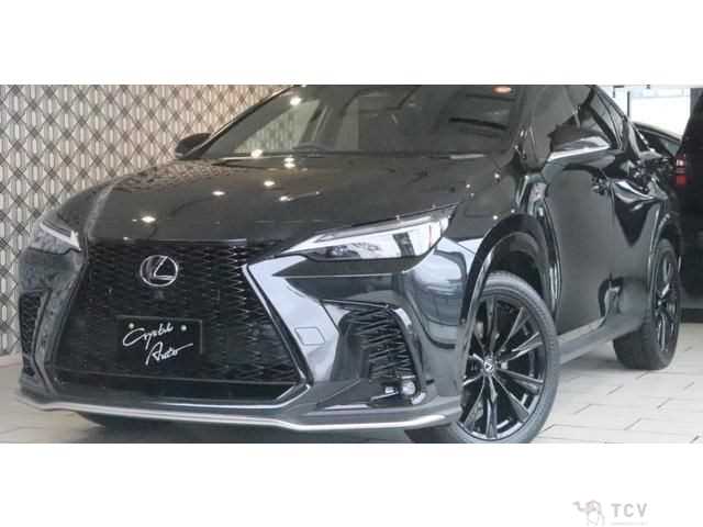 2025 Lexus NX