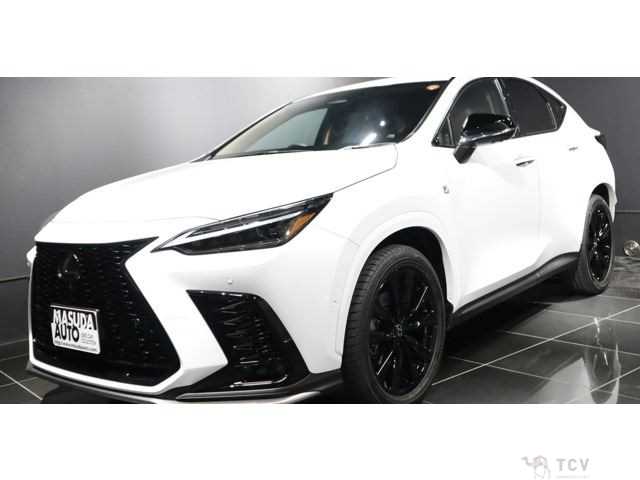 2025 Lexus NX