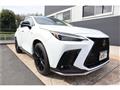 2025 Lexus NX