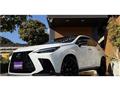 2025 Lexus NX