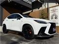 2025 Lexus NX