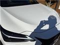 2025 Lexus NX