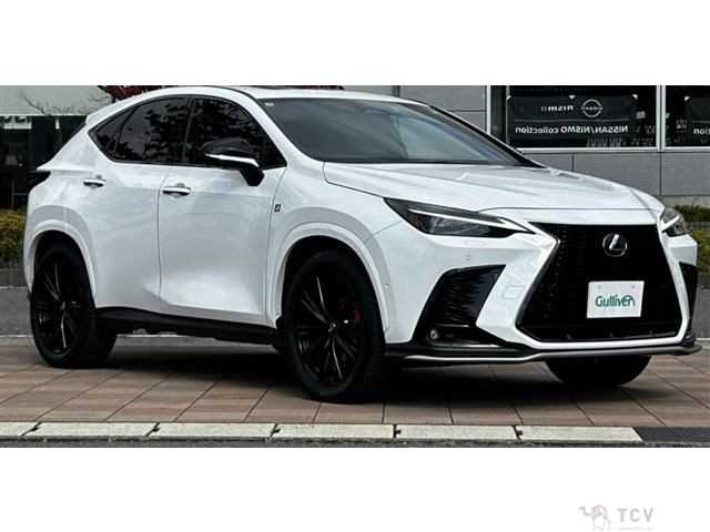2025 Lexus NX