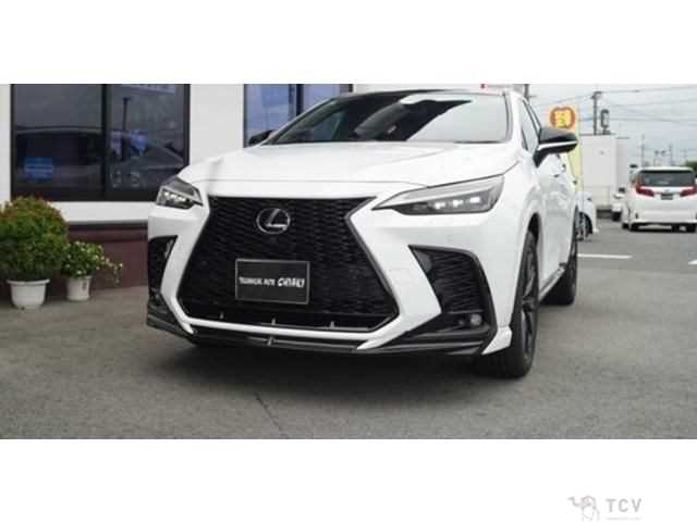 2025 Lexus NX