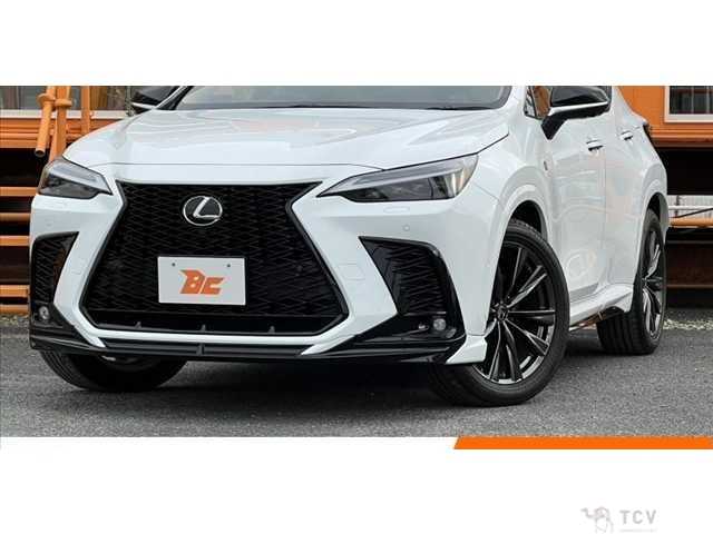 2025 Lexus NX