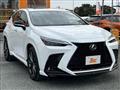 2025 Lexus NX