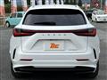 2025 Lexus NX
