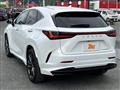 2025 Lexus NX