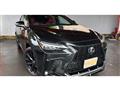 2025 Lexus NX