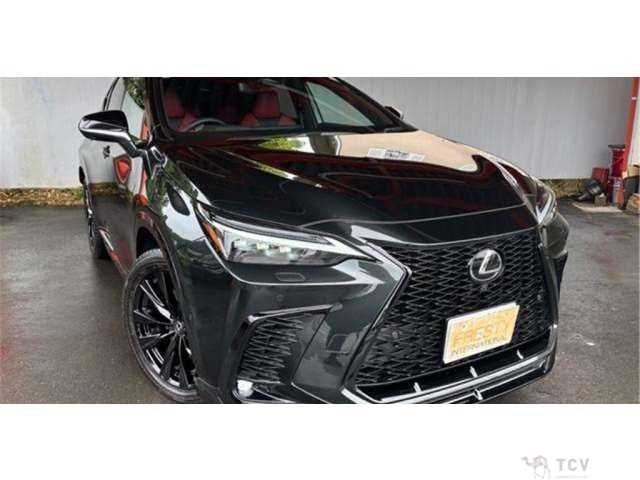 2025 Lexus NX