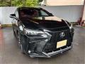 2025 Lexus NX