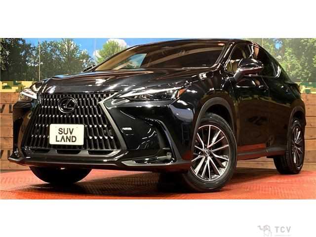 2024 Lexus NX