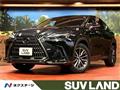 2024 Lexus NX