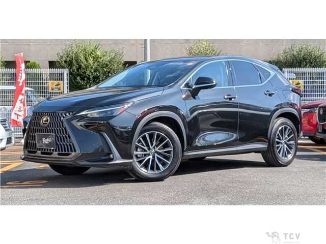 2024 Lexus NX