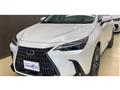2024 Lexus NX