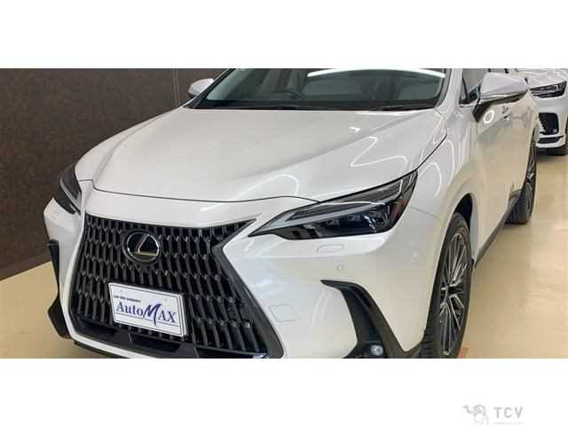 2024 Lexus NX