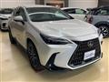 2024 Lexus NX