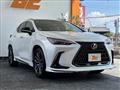 2024 Lexus NX